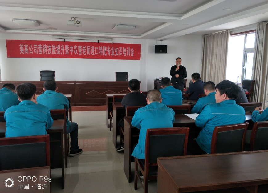 产业新布局，特肥叙华章