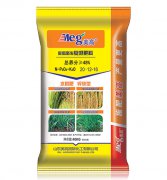 醛螯聚失—水稻专用肥