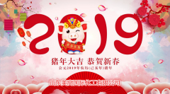 2019新梦想，新希望 山东美高国际化